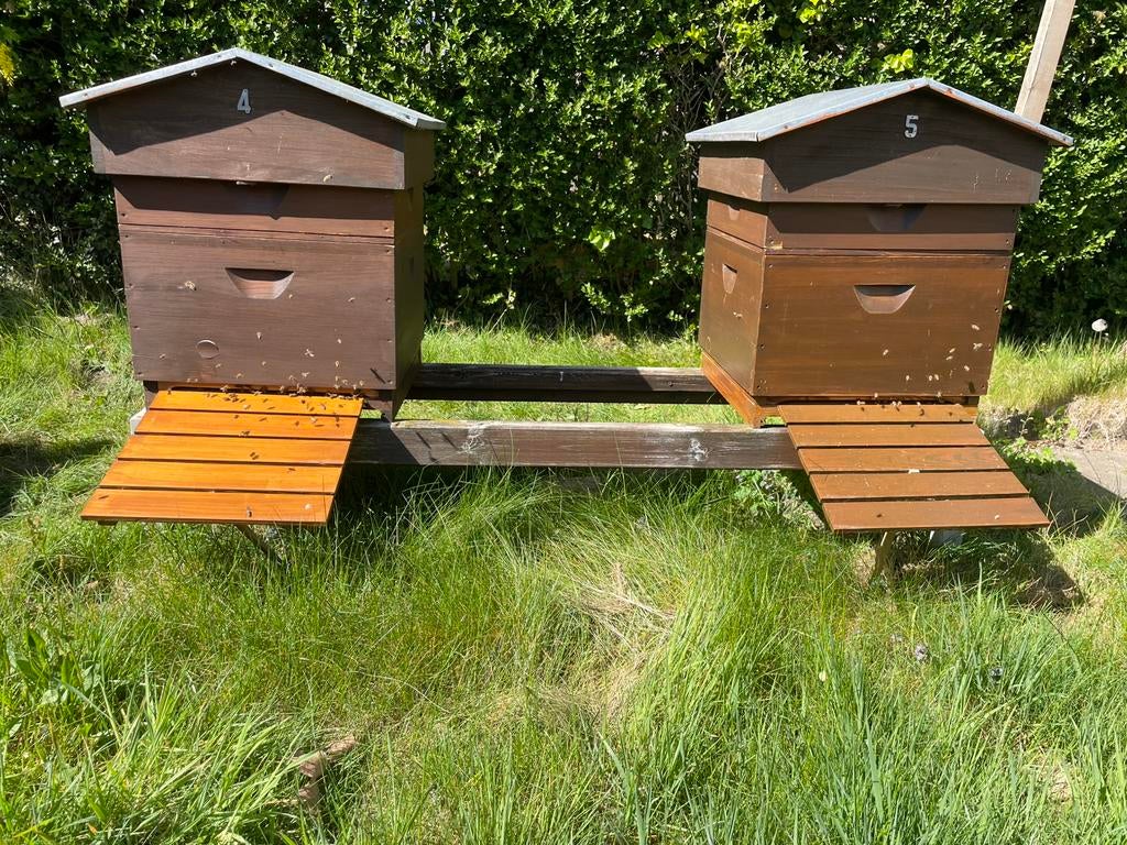 Bijenvolk, Dieren en Toebehoren, Bijen