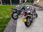 Suzuki Intruder 700 - Nette staat!, Motoren, 700 cc, Cardan-aandrijving, 2 cilinders, Chopper