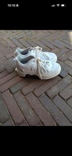 Nolly rolschaatsschoenen maat 40, Sport en Fitness, Skeelers, Overige merken, Overige typen, Ophalen of Verzenden, Zo goed als nieuw