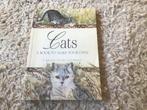 Cats o book to make your own  nieuw opbrengst giro 555, Boeken, Dieren en Huisdieren, Ophalen of Verzenden, Zo goed als nieuw