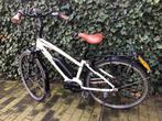 Riese & Müller Speed Pedelec, type Blue Label Mixte, Fietsen en Brommers, Elektrische fietsen, Gebruikt, Ophalen of Verzenden