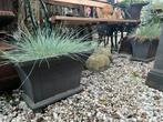 Gietijzeren zware grijze bloembak, Ophalen, Tuin, Gebruikt, Minder dan 30 cm