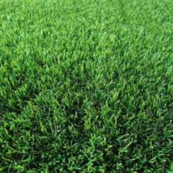 Restpartijen kunstgras 50 mm, Tuin en Terras, Gras en Kunstgras, Nieuw, Kunstgras, Minder dan 10 m², Ophalen of Verzenden