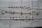 Tribale kettingen, Amazone gebied, circa 1970, 3st, Ophalen of Verzenden, Zo goed als nieuw, Beige, Overige materialen