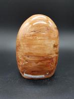 Versteend hout nr. 1, Ophalen of Verzenden, Fossiel