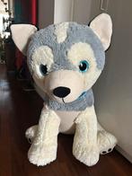 XL knuffel hond Husky 80cm, Ophalen, Gebruikt, Hond