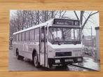 Foto BUS BBA Breda 537, Verzamelen, Verzenden, Gebruikt, Bus of Metro, Overige typen