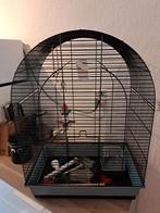 Grote vogelkooi zwart metaal - compleet, Dieren en Toebehoren, Vogels | Hokken en Kooien, Ophalen, Zo goed als nieuw, Metaal, Vogelkooi