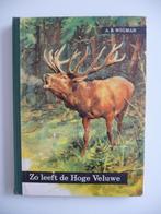 plaatjesboek - ZO LEEFT DE HOGE VELUWE - door A.B.Wigman, Boeken, Prentenboeken en Plaatjesalbums, Ophalen of Verzenden, A.B.Wigman