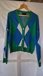 Elvira kleurrijk vest zirkonia knopen mt S, Overige kleuren, Ophalen of Verzenden, Maat 36 (S), Gedragen