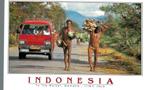 7 prachtige kaarten Irian Jaya {Nieuw Guinea} INDONESIË, Ophalen of Verzenden, Gelopen, Buiten Europa