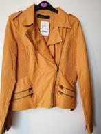 Dames jajses,mt.36 ,diverse kleuren en lengtes, Kleding | Dames, Ophalen of Verzenden, Nieuw, Maat 36 (S), Zwart