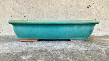 Bonsai schaal pot 15,5x9x4cm (3*) beschikbaar voor biedingen