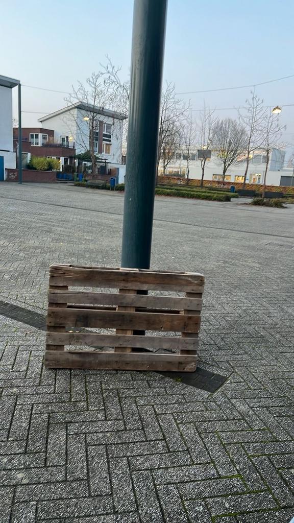 Gratis Pallet - Af te halen, Doe-het-zelf en Verbouw, Platen en Panelen, Gebruikt, Hout, 20 tot 50 mm, Ophalen