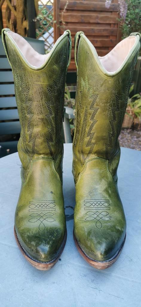 La pintura leren groene laarzen maat 40, Kleding | Heren, Schoenen, Zo goed als nieuw, Boots, Overige kleuren, Ophalen of Verzenden