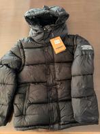 Burberry Winterjas Maat L, Maat 52/54 (L), Zwart, Nieuw, Ophalen of Verzenden