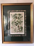 Set van 4 wanddecoraties "Onze Flora"., Ophalen of Verzenden, Zo goed als nieuw