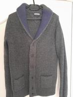 Tommy Hilfiger Heren Vest Grijs Maat M, Tommy Hilfiger, Ophalen of Verzenden, Zo goed als nieuw, Grijs