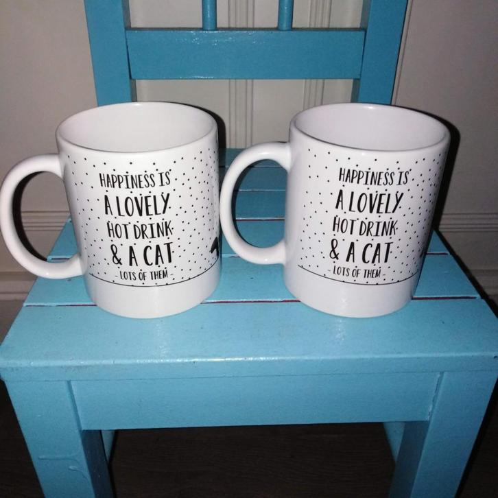 Bekers met leuke kattenspreuk 2 stuks, Huis en Inrichting, Keuken | Servies, Zo goed als nieuw, Glas of Glazen, Overige stijlen