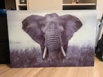 Glasplaat foto olifant, Ophalen, Zo goed als nieuw, Schilderij, 100 tot 125 cm