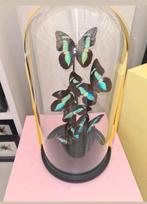 Stolp lanrge met vlinders, Huis en Inrichting, Woonaccessoires | Stolpen, Ophalen of Verzenden, Zo goed als nieuw