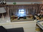 Aquarium met kreeften, Dieren en Toebehoren, Vissen | Aquaria en Toebehoren, Ophalen, Zo goed als nieuw, Grind, Zand of Voedingsbodem
