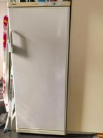 Siemens vrieskast met 6 laden, Witgoed en Apparatuur, Vriezers en Diepvrieskisten, Gebruikt, 140 tot 160 cm, Ophalen, Vrieskast