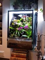 Terrarium / paludarium 35x35x50cm incl pomp en achterwand, Dieren en Toebehoren, Reptielen en Amfibieën | Toebehoren, Ophalen