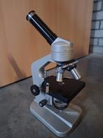 Breukhoven Biologische Microscoop, Ophalen, Gebruikt, Minder dan 400x, Biologische microscoop