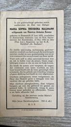 Maria S. T. Hallmann 1878 Emmerich 1942 Amsterdam, Ophalen of Verzenden
