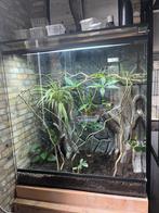 Terrarium, Ophalen, Gebruikt, Terrarium of Paludarium