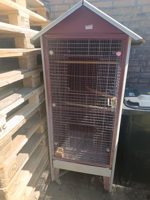 Grote stevige kooi – 165 cm hoog, 62 cm breed  Ik verkoop di, Dieren en Toebehoren, Vogels | Hokken en Kooien, Zo goed als nieuw