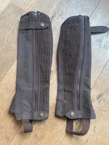 Paardrijchaps - bruin / small (kind 12-14jr) beschikbaar voor biedingen