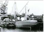 Scheepvaart, Verzamelen, Verzenden, Nieuw, Motorboot, Kaart, Foto of Prent