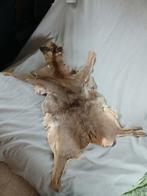 Gelooide hertenvacht, huid van hert, Verzamelen, Dierenverzamelingen, Ophalen of Verzenden