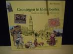 Groningen in klein bestek, Bill Venema, Ophalen of Verzenden, Nieuw, Bill Venema