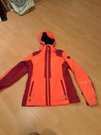 Icepeak skijas - maat 42 - winterjas, Kleding | Dames, Sportkleding, Ophalen of Verzenden, Zo goed als nieuw, Maat 42/44 (L), Overige typen