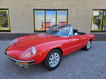 Alfa Romeo Spider 2.0 Veloce Coda Tronca (bj 1974) beschikbaar voor biedingen
