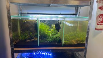 Aquarium / garnalenbakken beschikbaar voor biedingen