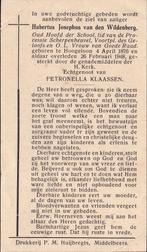 Wildenberg Hubertus 1876 Hoogeloon 1948, Ophalen of Verzenden, Bidprentje