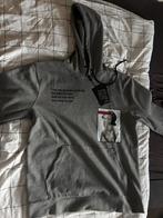 Dsquared2 Hoodie XL - Nieuw met kaartje!, Ophalen of Verzenden, Nieuw, Maat 56/58 (XL), Grijs