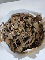 Grote verzameling bodemvondsten (1), Ophalen of Verzenden, Zo goed als nieuw, Nvt, Nvt