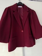 Bordeux blazer, Ophalen of Verzenden, Zo goed als nieuw, Rood