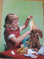 meisje past hond kleding aan - nieuw - zeventiger jaren, Verzamelen, Ansichtkaarten | Dieren, 1960 tot 1980, Ongelopen, Verzenden