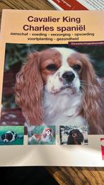 Cavalier King Charles Spaniel, Ophalen of Verzenden, Gelezen, Honden
