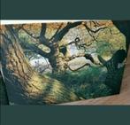 Nieuw Tuinschilderij op doek +houten frame werk 120x80, Tuin en Terras, Tuinwanddecoratie, Nieuw, Ophalen