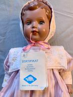 schildkrot pop, Ophalen of Verzenden, Gebruikt, Pop