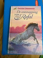 De ontsnapping van Rafal - Christine Linneweever, Boeken, Ophalen of Verzenden, Gelezen, Fictie algemeen