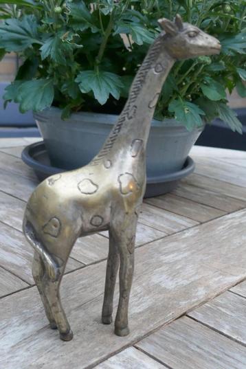 Giraffe beeld van messing beschikbaar voor biedingen