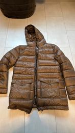 Herno jas kastanje/bruin kleur maat 50, Kleding | Heren, Herno, Bruin, Maat 48/50 (M), Ophalen of Verzenden